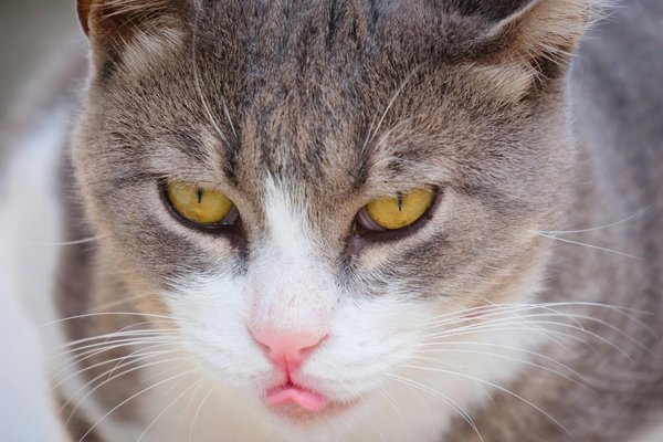 Die besten nachhaltigen matratzen für erholsamen schlaf